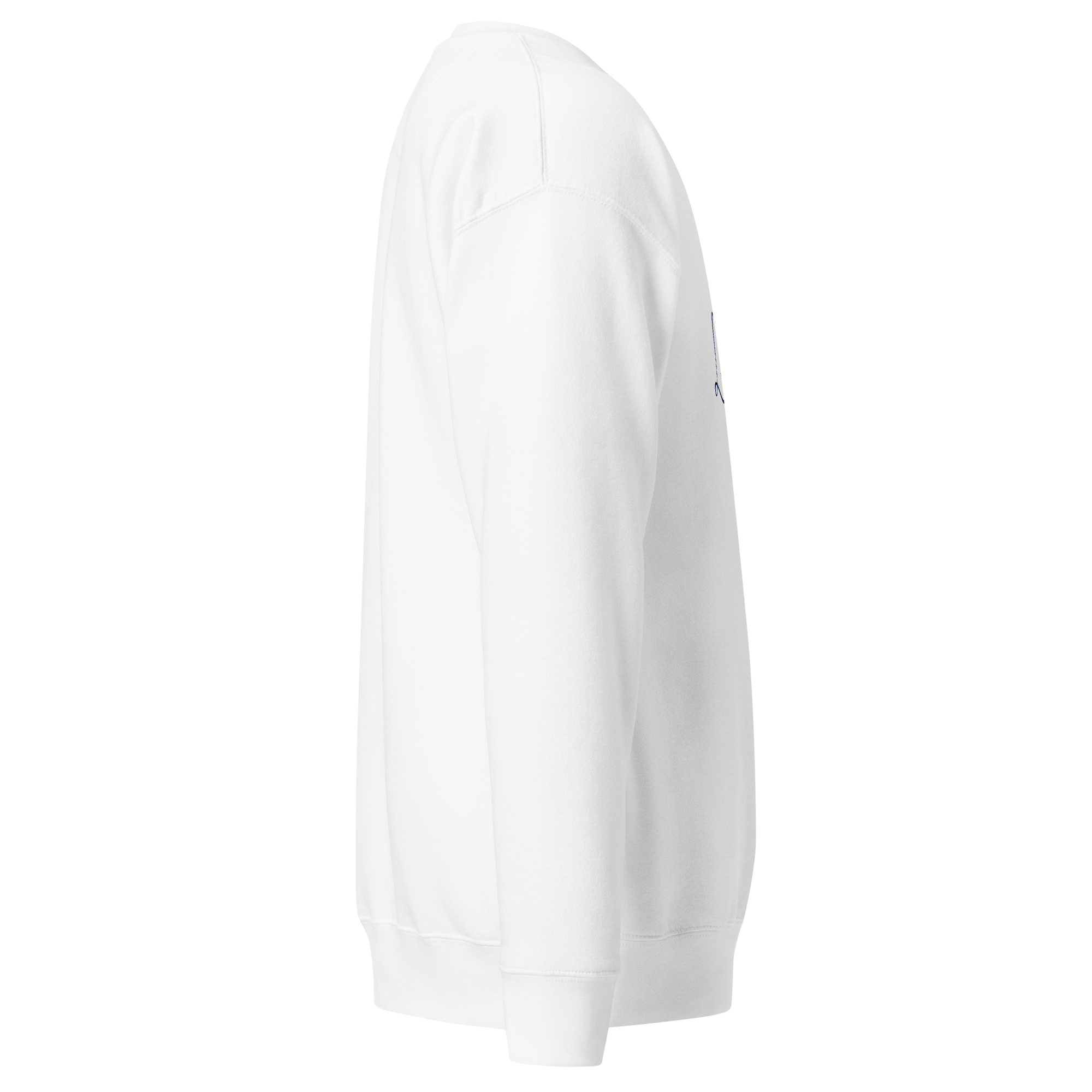 tsgabrielle® For Him • Liberty • Premium Bluza dresowa - White - View 11